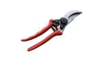 Pruning